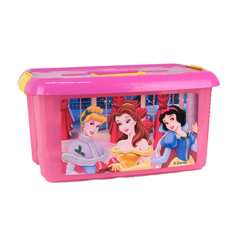 금형 라벨의 처리된 저장 상자 사출 성형