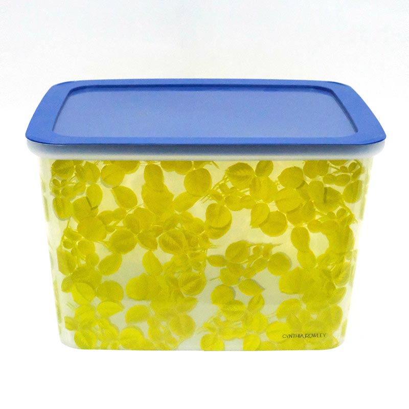 금형 라벨의 분류 상자 사출 성형